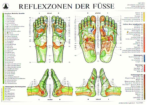 Reflexzonen der Füße